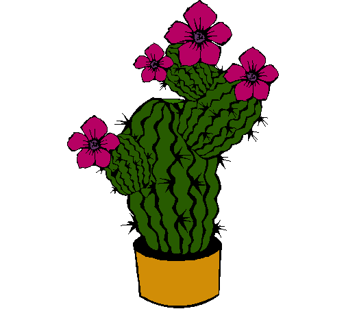 Flores de cactus