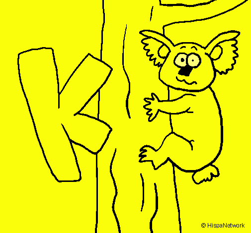 Koala