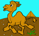 Dibujo Camello pintado por Santi