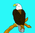 Dibujo Águila en una rama pintado por juancarlos