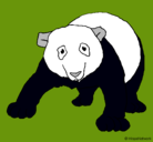 Dibujo Oso panda pintado por catalina