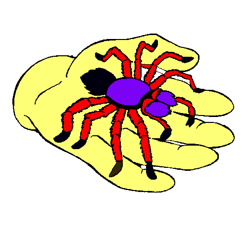 Tarántula