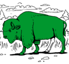 Dibujo Búfalo  pintado por dragonser