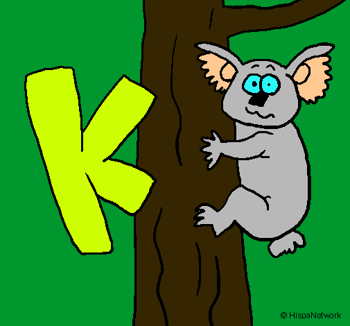 Koala