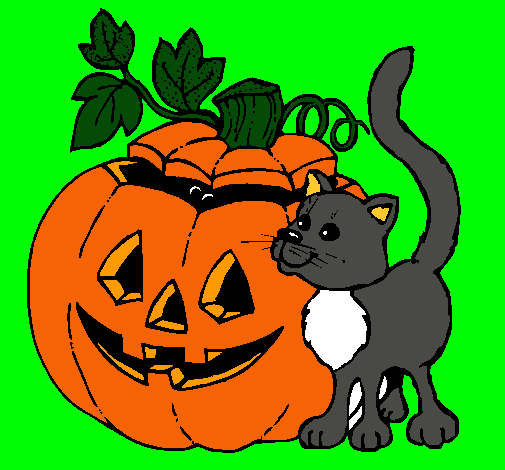 Calabaza y gato