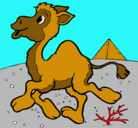 Dibujo Camello pintado por pook