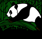 Dibujo Oso panda comiendo pintado por tigre