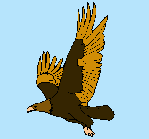 Águila volando