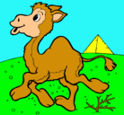 Dibujo Camello pintado por anapaulina