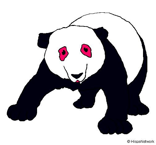 Oso panda