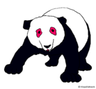 Dibujo Oso panda pintado por barbiepr