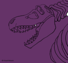 Dibujo Esqueleto tiranosaurio rex pintado por kljh57