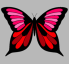 Dibujo Mariposa pintado por mireya