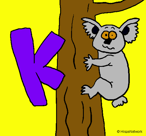 Koala