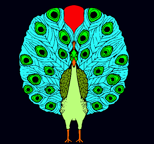 Pavo real