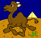 Dibujo Camello pintado por samuel