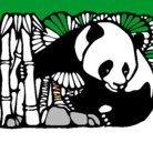 Dibujo Oso panda y bambú pintado por juan