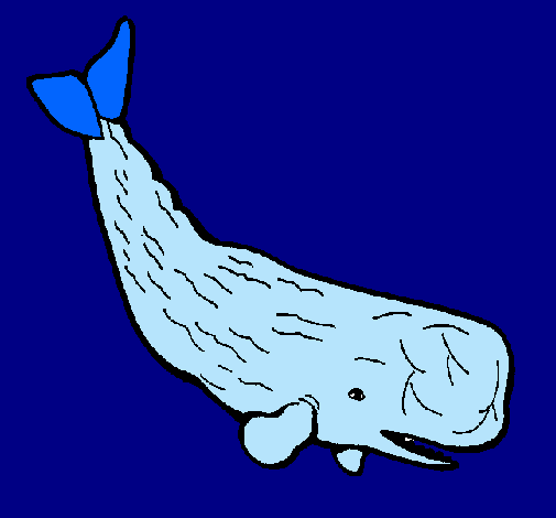 Ballena grande