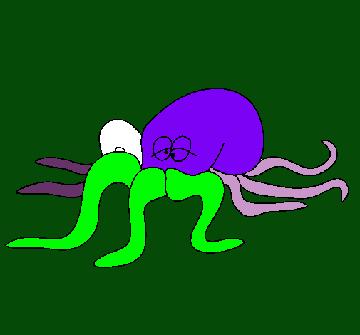 Pulpo