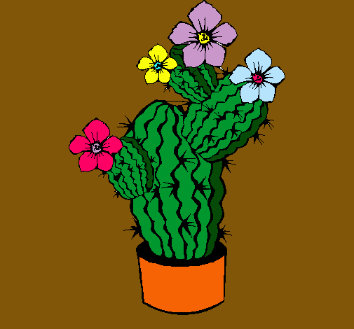 Flores de cactus