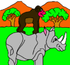 Dibujo Rinoceronte y mono pintado por laurasolisza