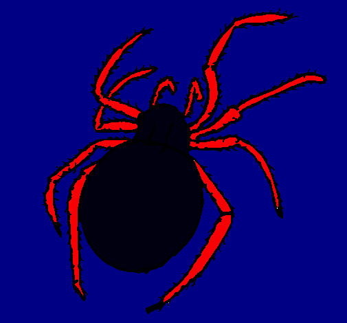 Araña venenosa