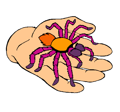 Tarántula