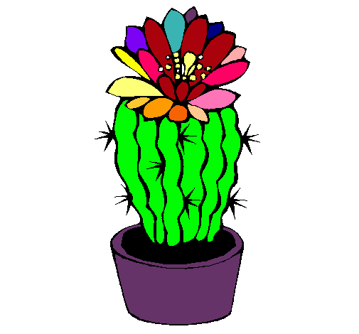 Cactus con flor