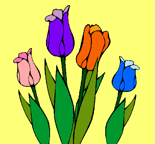 Tulipanes