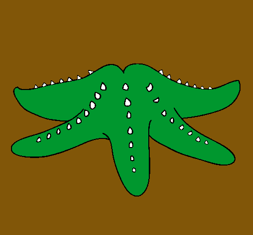 Estrella de mar