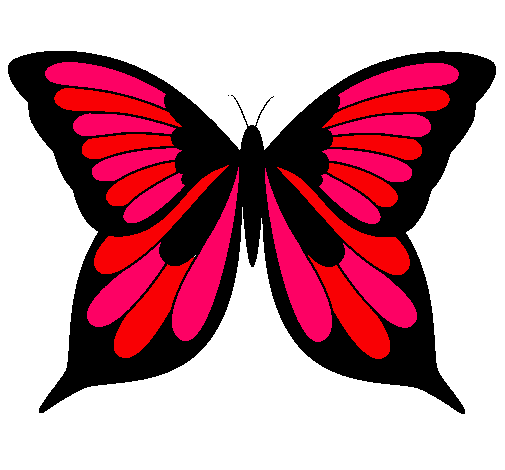 Mariposa