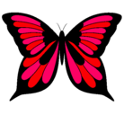 Dibujo Mariposa pintado por vanessa