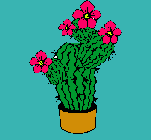 Flores de cactus