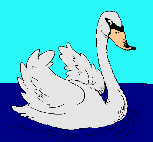 Cisne en el agua