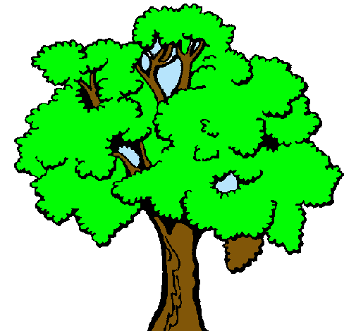 Árbol