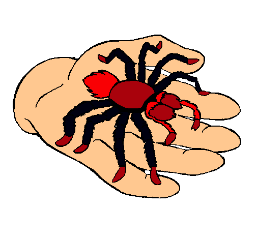 Tarántula