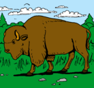 Dibujo Búfalo  pintado por luciano