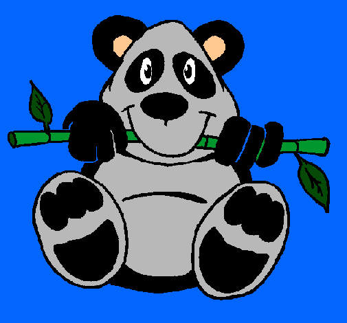 Oso panda