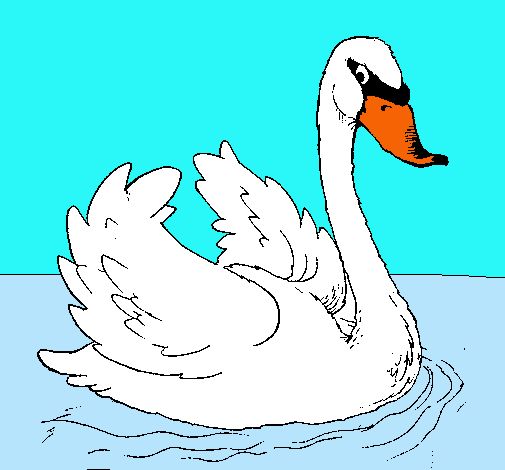 Cisne en el agua