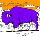 Dibujo Búfalo  pintado por ruben