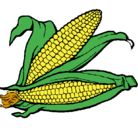 Dibujo Mazorca de maíz pintado por azucena
