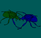 Dibujo Escarabajos pintado por Joana