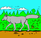 Dibujo Coyote pintado por adria