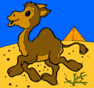 Dibujo Camello pintado por JOSUEDANIEL