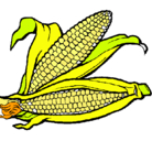 Dibujo Mazorca de maíz pintado por angela