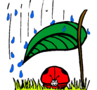 Dibujo Mariquita protegida de la lluvia pintado por prinsis