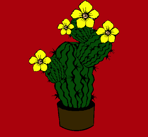 Flores de cactus