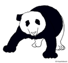 Dibujo Oso panda pintado por rodrigo