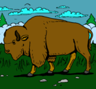 Dibujo Búfalo  pintado por rociooooo