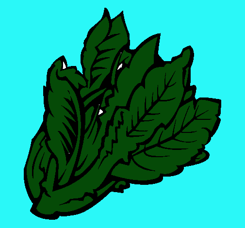 Lechuga II